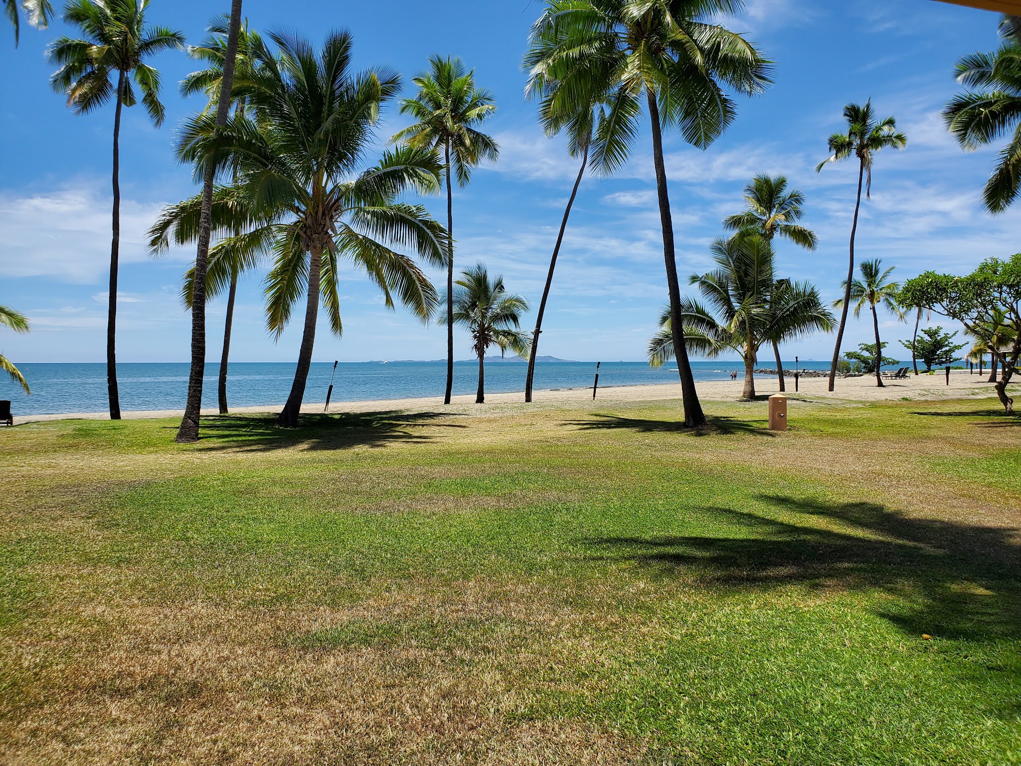 Palm trees on green lawn leading to Fiji beach